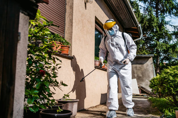 Reliable Connerton, FL Pest Control Solutions