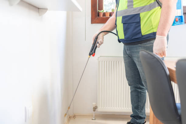 Best Insect Control  in Connerton, FL