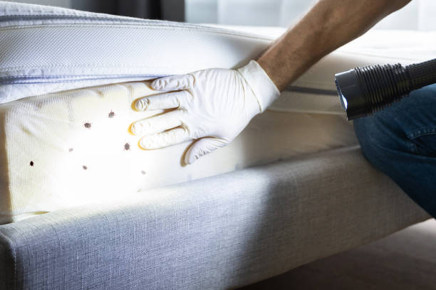 Best Pest Control Near Me in Connerton, FL