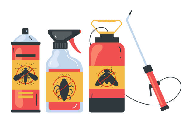 Best Spider Control Near Me  in Connerton, FL