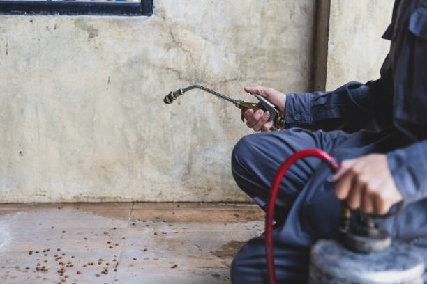 Best Best Pest Control Companies  in Connerton, FL